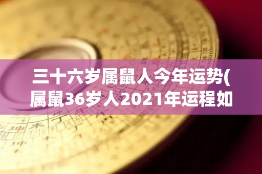 三十六岁属鼠人今年运势(属鼠36岁人2021年运程如何？)