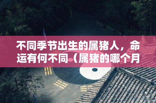 不同季节出生的属猪人，命运有何不同（属猪的哪个月份哪个时间出生命好）