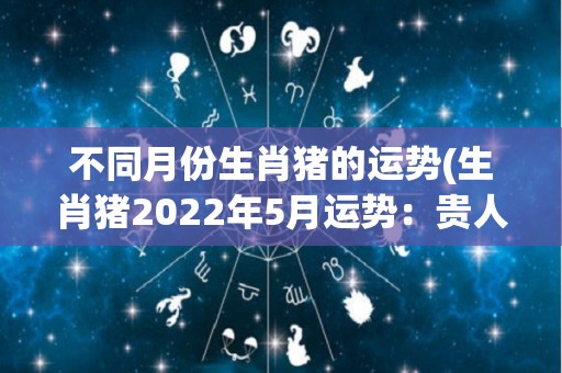 不同月份生肖猪的运势(生肖猪2022年5月运势：贵人相助，事业顺利！)