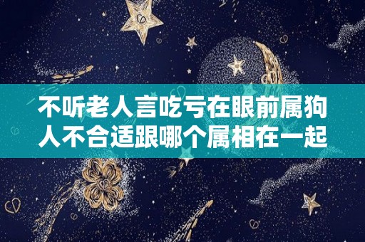 不听老人言吃亏在眼前属狗人不合适跟哪个属相在一起？（属狗的人和哪个属相不合）