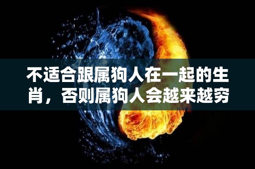 不适合跟属狗人在一起的生肖，否则属狗人会越来越穷！（属狗不能和什么生肖合作）