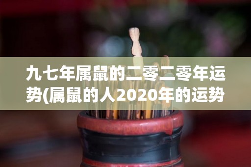 九七年属鼠的二零二零年运势(属鼠的人2020年的运势如何？)