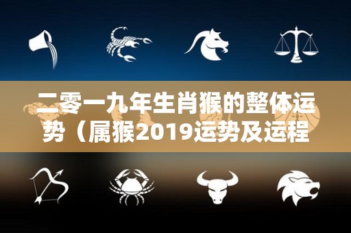 二零一九年生肖猴的整体运势（属猴2019运势及运程）