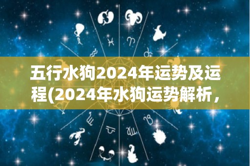 五行水狗2024年运势及运程(2024年水狗运势解析，详细预测运程)