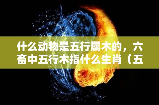 什么动物是五行属木的，六畜中五行木指什么生肖（五行木肖有哪些生肖）