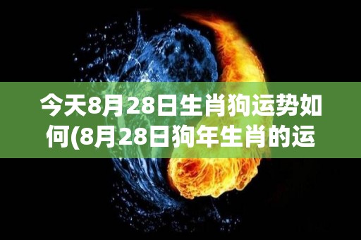 今天8月28日生肖狗运势如何(8月28日狗年生肖的运势如何？)