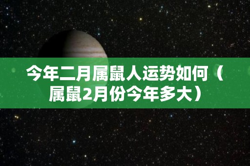 今年二月属鼠人运势如何（属鼠2月份今年多大）