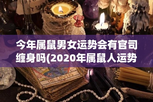 今年属鼠男女运势会有官司缠身吗(2020年属鼠人运势：是否会有官司缠身？)