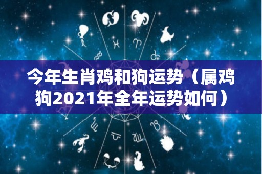 今年生肖鸡和狗运势（属鸡狗2021年全年运势如何）