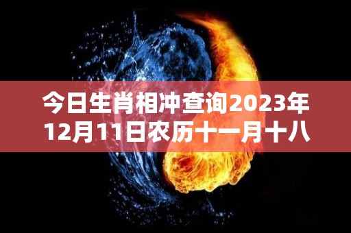 今日生肖相冲查询2023年12月11日农历十一月十八（今天12月31日的属相）