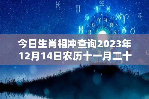 今日生肖相冲查询2023年12月14日农历十一月二十一（今日生肖相冲查询2023年12月14日农历十一月二十一号）