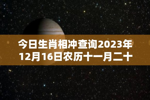 今日生肖相冲查询2023年12月16日农历十一月二十三（今日生肖相冲查询2023年12月16日农历十一月二十三日）