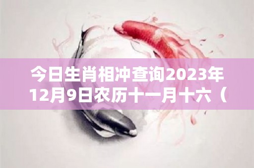 今日生肖相冲查询2023年12月9日农历十一月十六（2020年12月12日今日生肖）