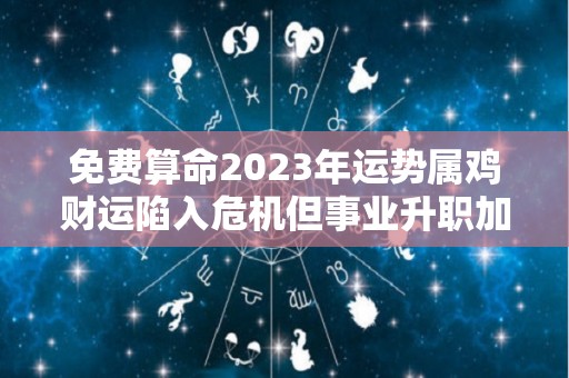 免费算命2023年运势属鸡财运陷入危机但事业升职加薪（2023属鸡人的全年运势）