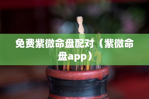 免费紫微命盘配对（紫微命盘app）