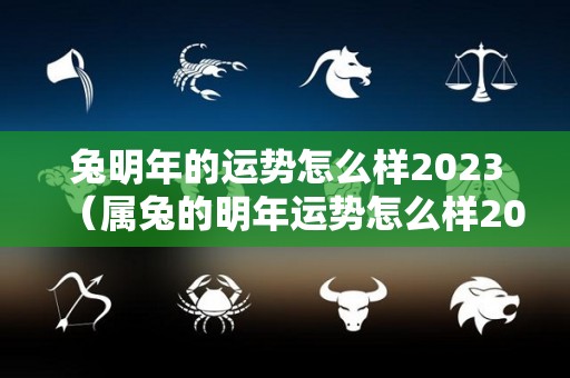 兔明年的运势怎么样2023（属兔的明年运势怎么样2023）