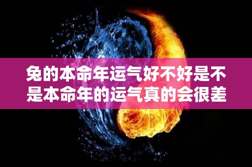 兔的本命年运气好不好是不是本命年的运气真的会很差（属兔的本命年好吗）