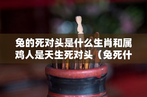 兔的死对头是什么生肖和属鸡人是天生死对头（兔死什么什么成语大全四个字）