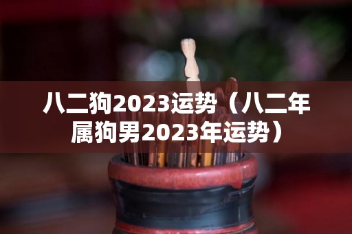 八二狗2023运势（八二年属狗男2023年运势）