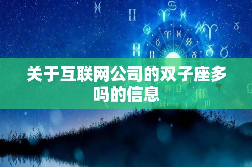 关于互联网公司的双子座多吗的信息