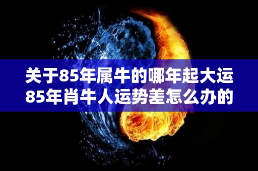 关于85年属牛的哪年起大运85年肖牛人运势差怎么办的信息