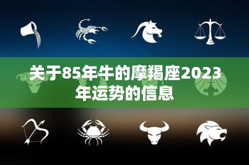 关于85年牛的摩羯座2023年运势的信息