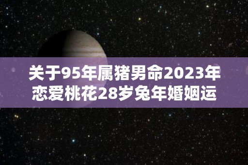 关于95年属猪男命2023年恋爱桃花28岁兔年婚姻运的信息