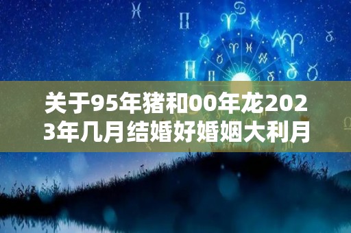 关于95年猪和00年龙2023年几月结婚好婚姻大利月分析的信息