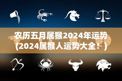 农历五月属猴2024年运势(2024属猴人运势大全！)