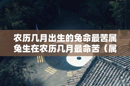 农历几月出生的兔命最苦属兔生在农历几月最命苦（属兔农历几月出生不好）