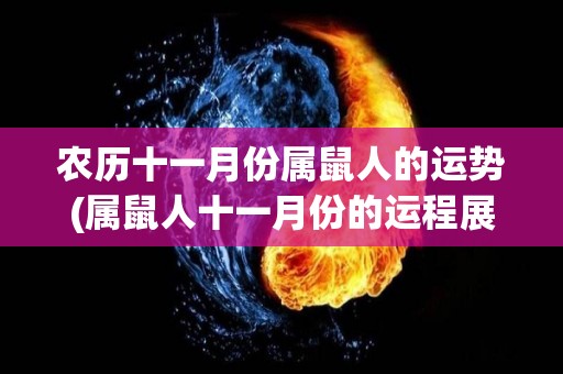 农历十一月份属鼠人的运势(属鼠人十一月份的运程展望)