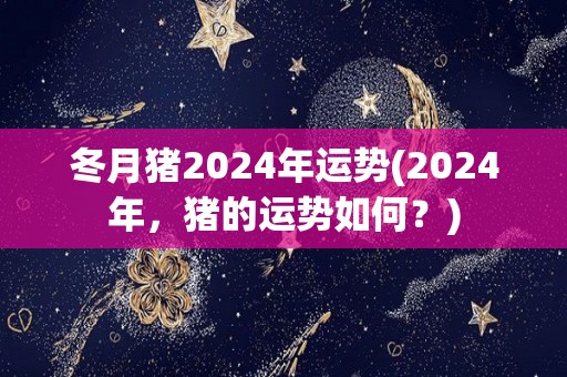 冬月猪2024年运势(2024年，猪的运势如何？)