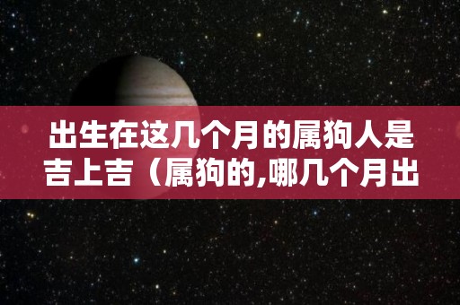 出生在这几个月的属狗人是吉上吉（属狗的,哪几个月出生不好?）