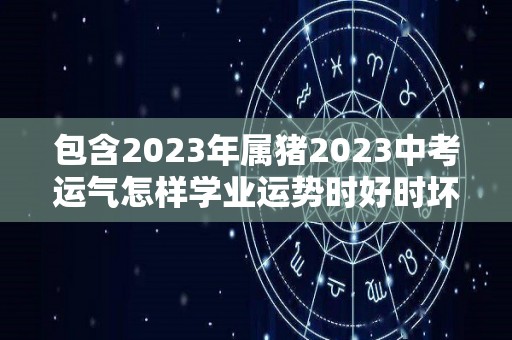 包含2023年属猪2023中考运气怎样学业运势时好时坏的词条