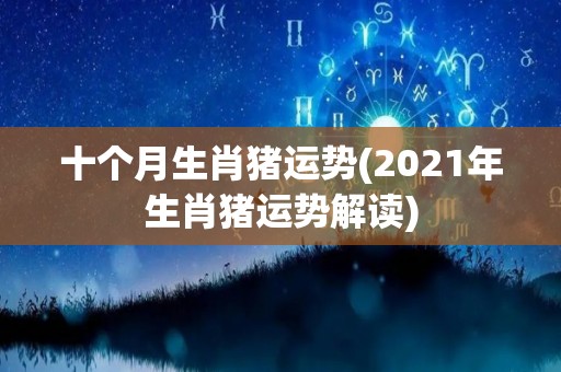 十个月生肖猪运势(2021年生肖猪运势解读)