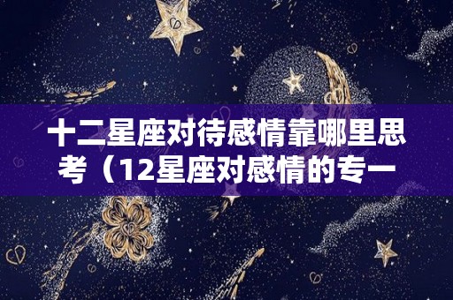 十二星座对待感情靠哪里思考（12星座对感情的专一程度）