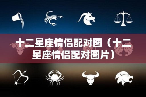 十二星座情侣配对图（十二星座情侣配对图片）