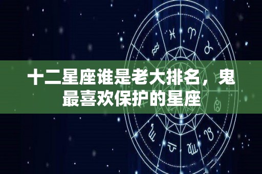 十二星座谁是老大排名，鬼最喜欢保护的星座