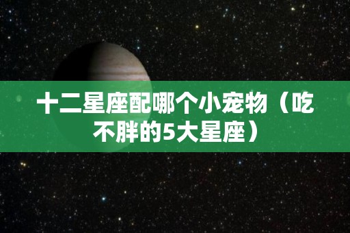 十二星座配哪个小宠物（吃不胖的5大星座）