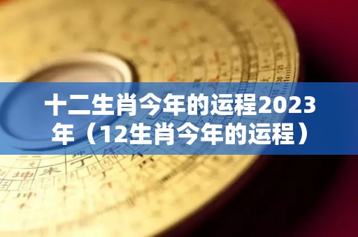 十二生肖今年的运程2023年（12生肖今年的运程）