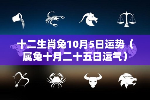 十二生肖兔10月5日运势（属兔十月二十五日运气）