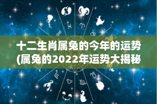 十二生肖属兔的今年的运势(属兔的2022年运势大揭秘)