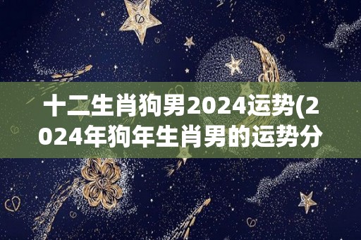 十二生肖狗男2024运势(2024年狗年生肖男的运势分析)