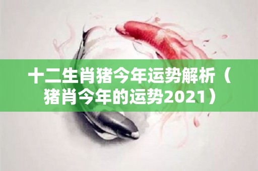 十二生肖猪今年运势解析（猪肖今年的运势2021）