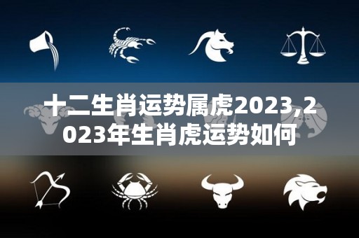 十二生肖运势属虎2023,2023年生肖虎运势如何