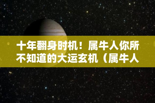 十年翻身时机！属牛人你所不知道的大运玄机（属牛人终身运程）