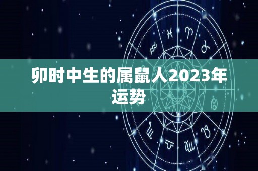 卯时中生的属鼠人2023年运势