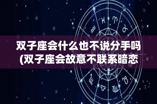 双子座会什么也不说分手吗(双子座会故意不联系暗恋的人吗)