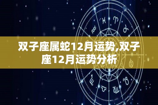 双子座属蛇12月运势,双子座12月运势分析