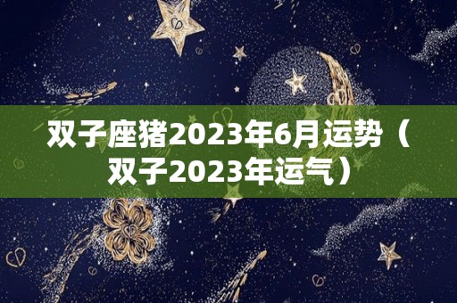 双子座猪2023年6月运势（双子2023年运气）